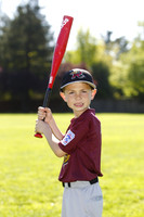 ATimberRattlers018