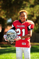 Falcons008