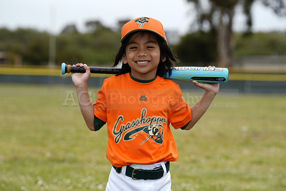 TBGrasshoppers00061