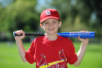 AA_Cardinals008