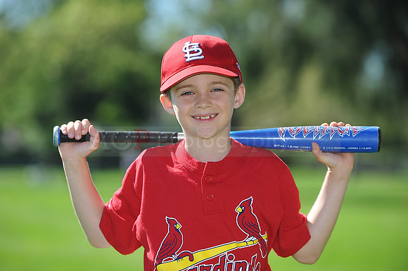AA_Cardinals008