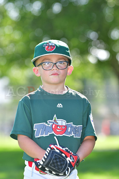 TBTincaps203