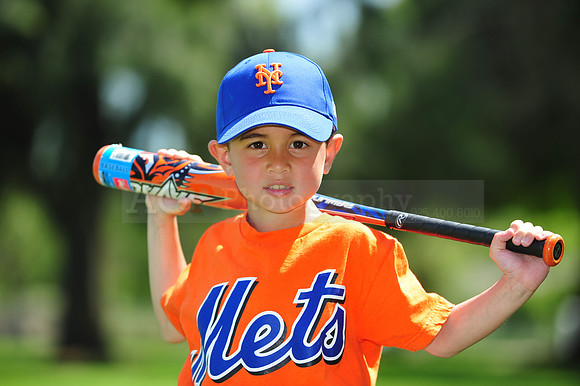 Farm_Mets032