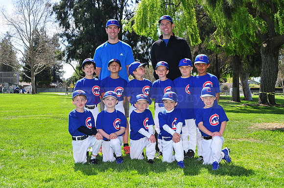 FMCubs044