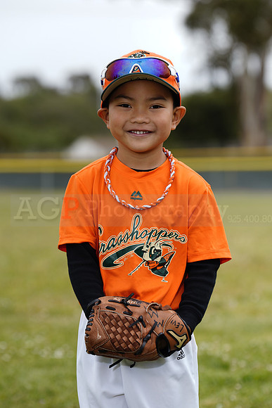 TBGrasshoppers00100