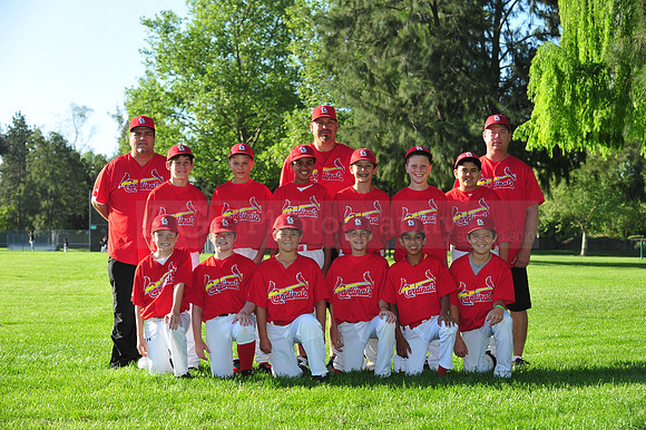 MajorCardinals082