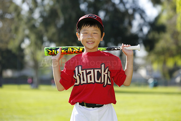 FMDBacks039