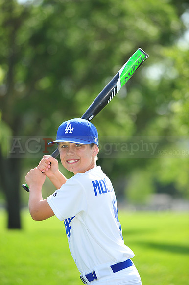 MDodgers037