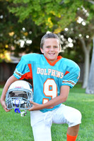 Dolphins020