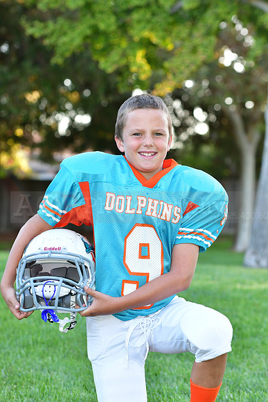 Dolphins020