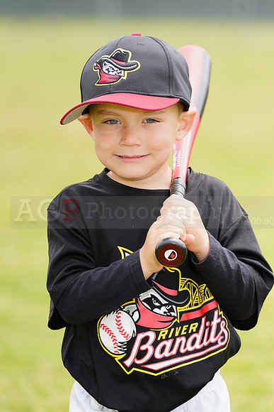 AGP09066