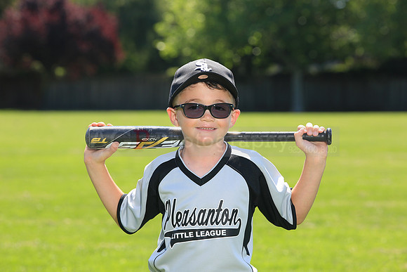 PLL_A_Whitesox00056