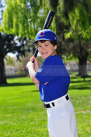 FMCubs011