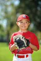 AA_Cardinals018