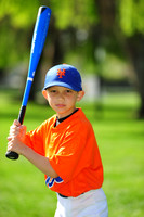 AA METS009