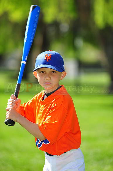 AA METS009