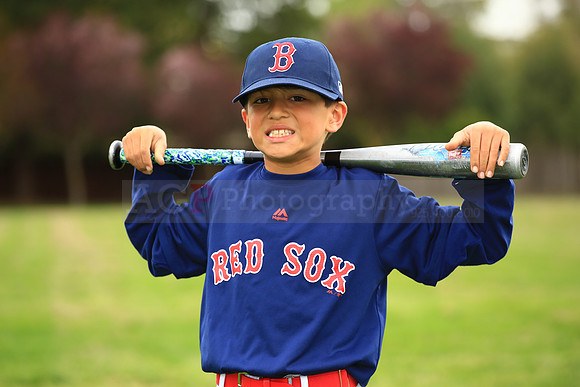 AARedsox041
