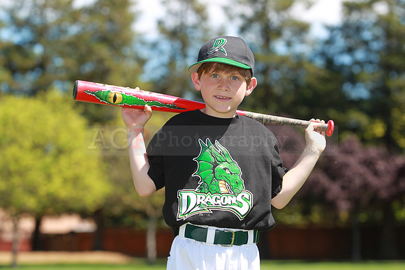 ADragons078