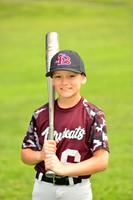BMudcats00007