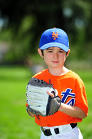 Farm_Mets001