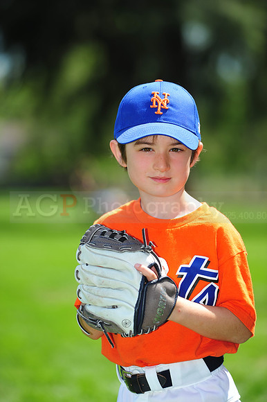 Farm_Mets001
