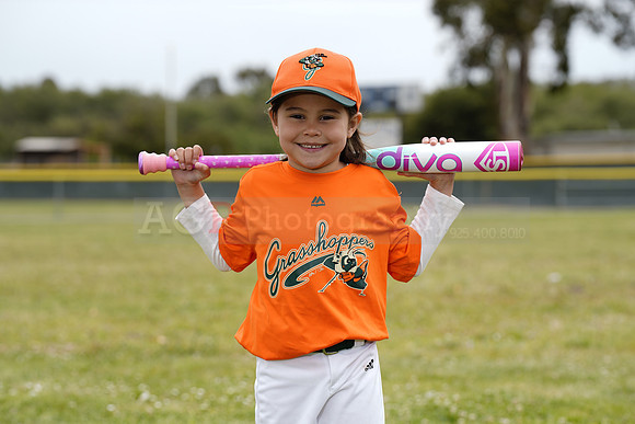 TBGrasshoppers00076