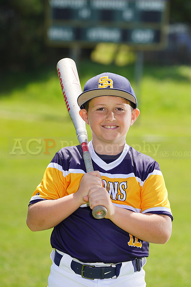 SB_PW_Lions005