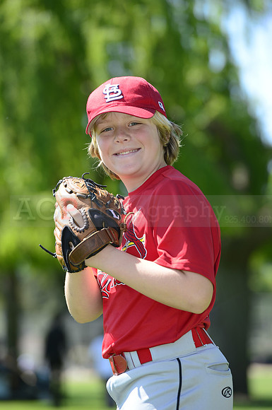 AAA Cards050