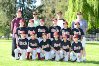 AAA D-BACKS