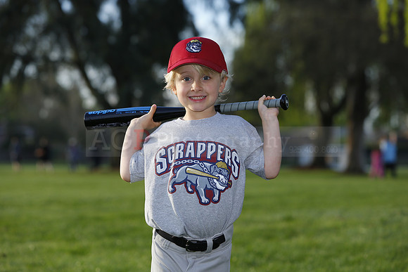 TBScrappers005