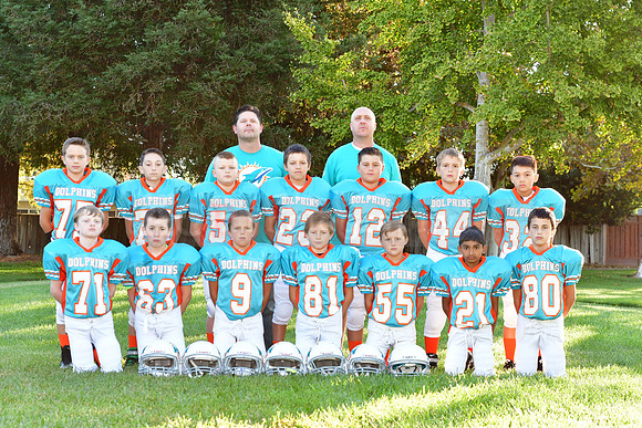 Dolphins117