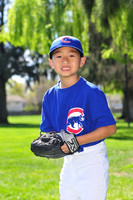 FMCubs015
