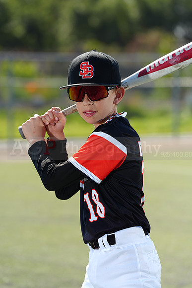SB_BR_Giants013