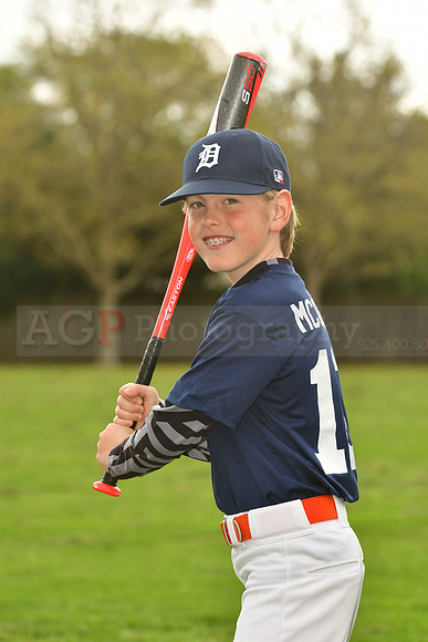 AATigers053