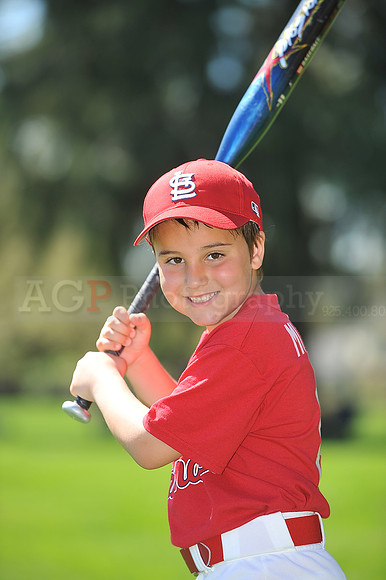 A_Cardinals106