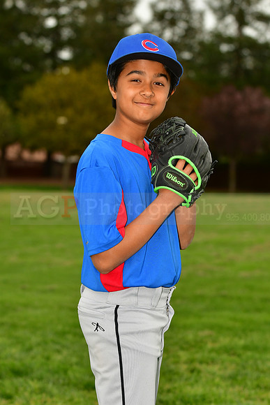 AAACubs066