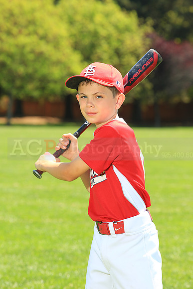 PLL_AA_Cards00027