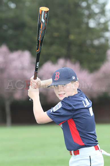 AAARedsox069