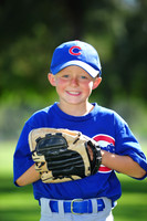 Farm_Cubs011