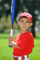 T-Ball_Reds006