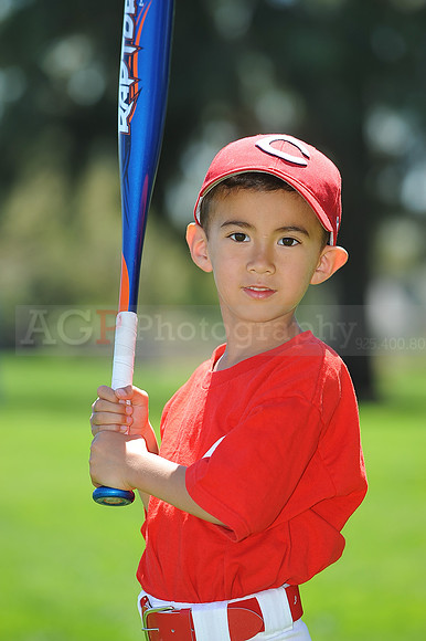 T-Ball_Reds006