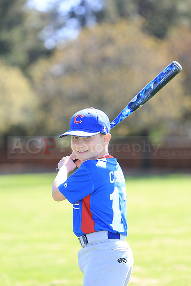 AAACubs056