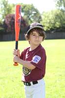 FMTimberRattlers008