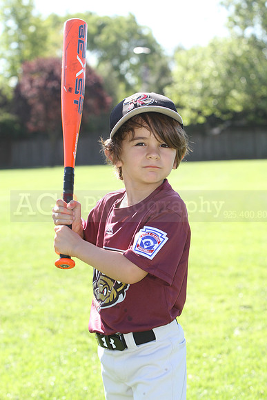 FMTimberRattlers008