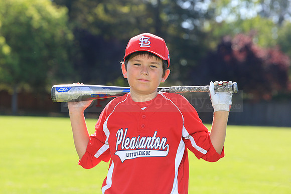PLL_AAA_Cardinals00005