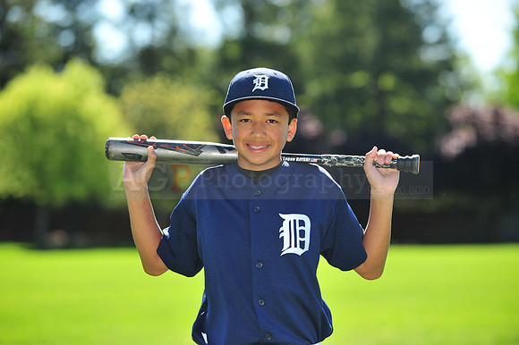 MTigers043