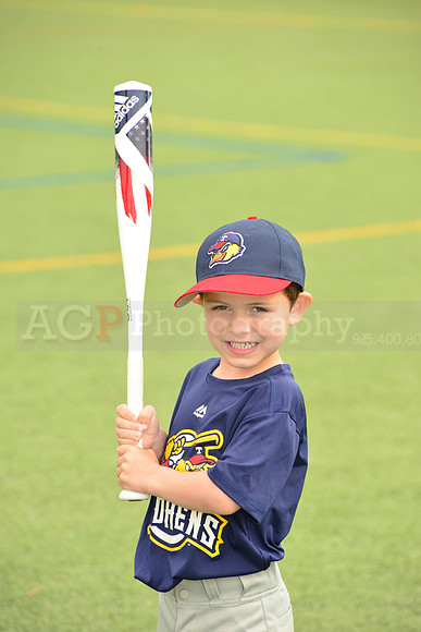 SB_TB_mudhens00001