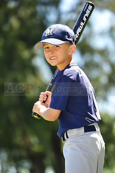 AA Brewers086