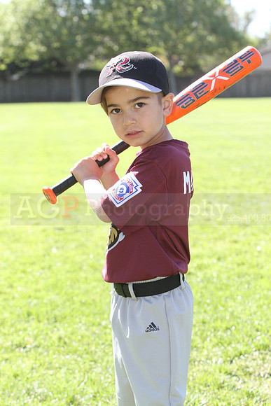 FMTimberRattlers065