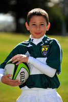 PCRFCU12016